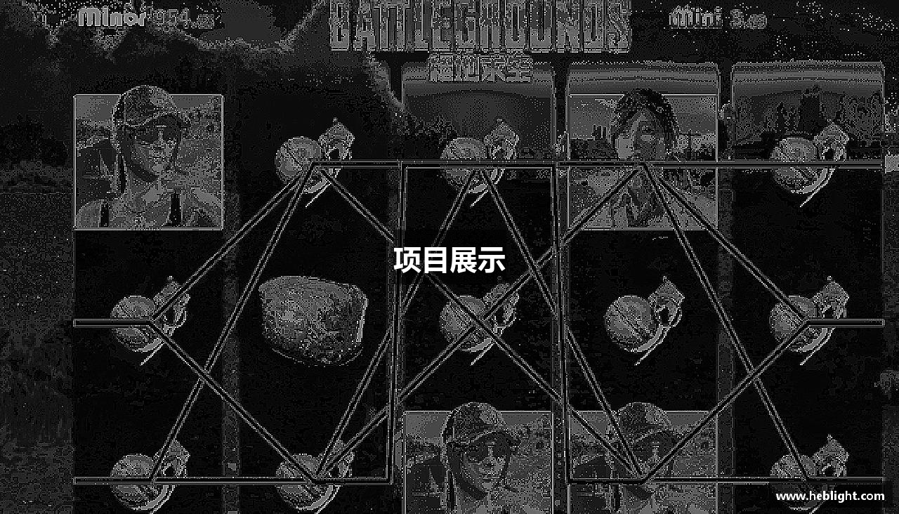 项目展示
